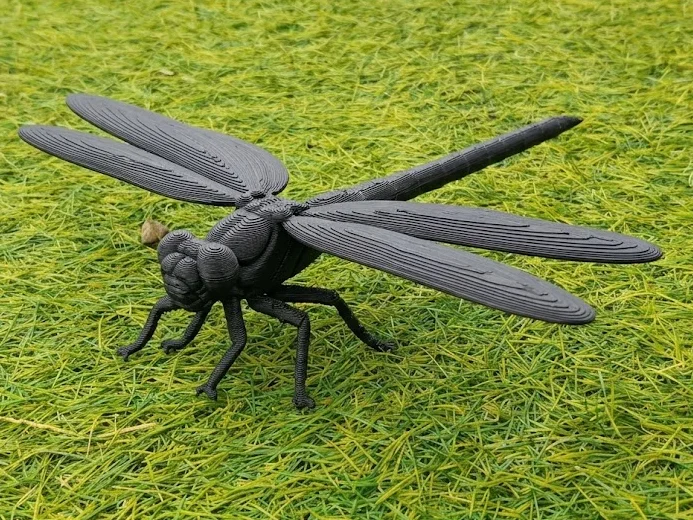 Dragonfly - Realistic Detailed Insect, a preview image from MakerWorld