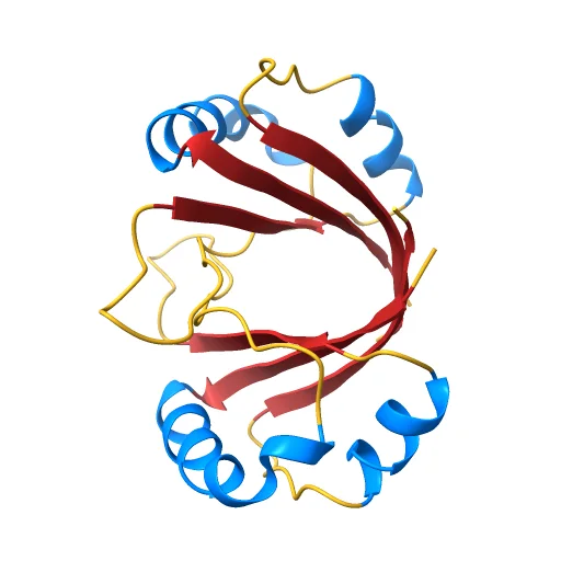 The DNA-bound solution structure of HPV-16 E2 DNA-binding domain, a preview image from NIH 3D