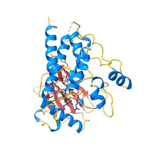Crystal structure of KIT in complex with ponatinib, a preview image from NIH 3D
