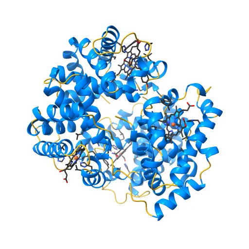 CARBONMONOXY TROUT HEMOGLOBIN I, a preview image from NIH 3D