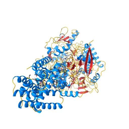 CRYSTAL STRUCTURE OF PORCINE HEART MITOCHONDRIAL COMPLEX II BOUND WITH flutolanil, a preview image from NIH 3D