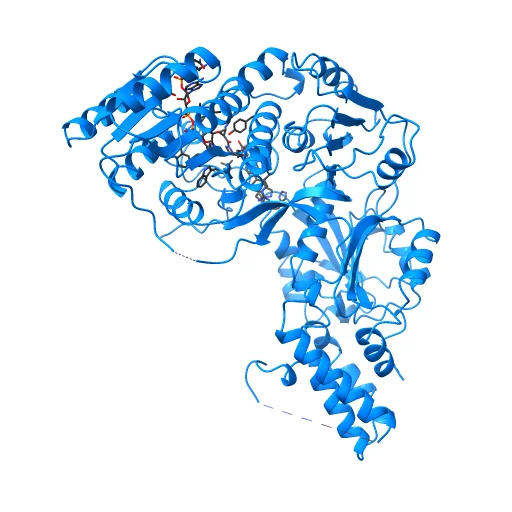 Structure of the beta-ketoacyl reductase domain of human fatty acid synthase bound to a spiro-imidazolone inhibitor, a preview image from NIH 3D