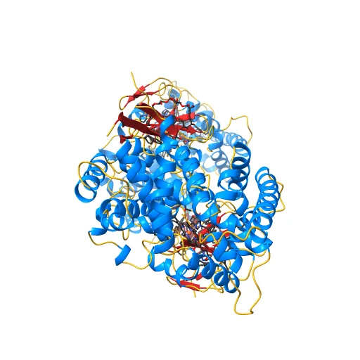 Crystal structure of human lanosterol 14alpha-demethylase (CYP51) in complex with ketoconazole, a preview image from NIH 3D