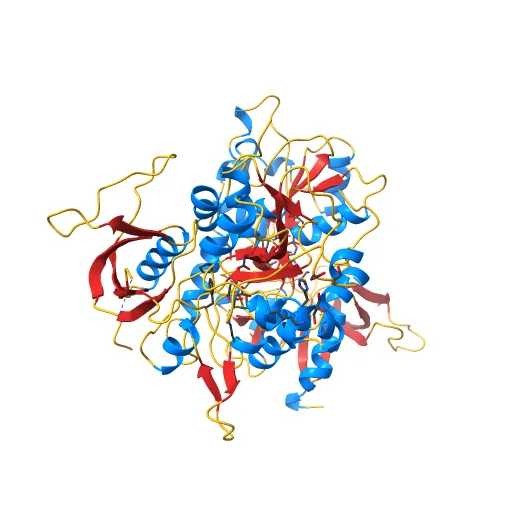 CRYSTAL STRUCTURE OF GLUN1/GLUN2A LIGAND-BINDING DOMAIN IN COMPLEX WITH GLYCINE AND NVP-AAM077, a preview image from NIH 3D