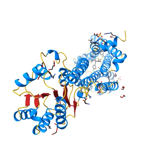 High-resolution crystal structure of the human CB1 cannabinoid receptor, a preview image from NIH 3D
