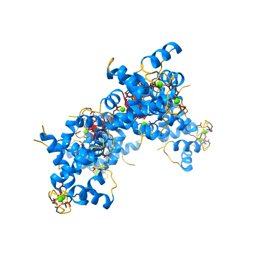 Crystal structure of endothelial nitric oxide synthase peptide bound to calmodulin, a preview image from NIH 3D