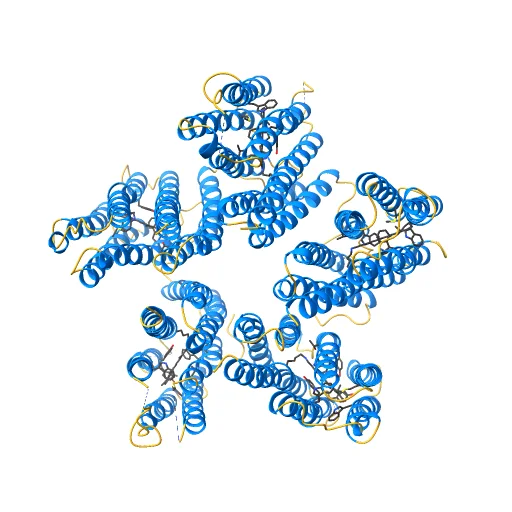 Crystal structure of a blue-light absorbing proteorhodopsin double-mutant D97N/Q105L from HOT75, a preview image from NIH 3D