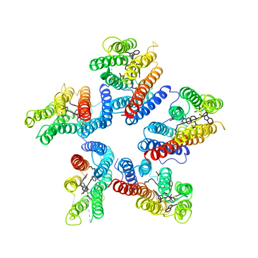 Crystal structure of a blue-light absorbing proteorhodopsin double-mutant D97N/Q105L from HOT75, a preview image from NIH 3D