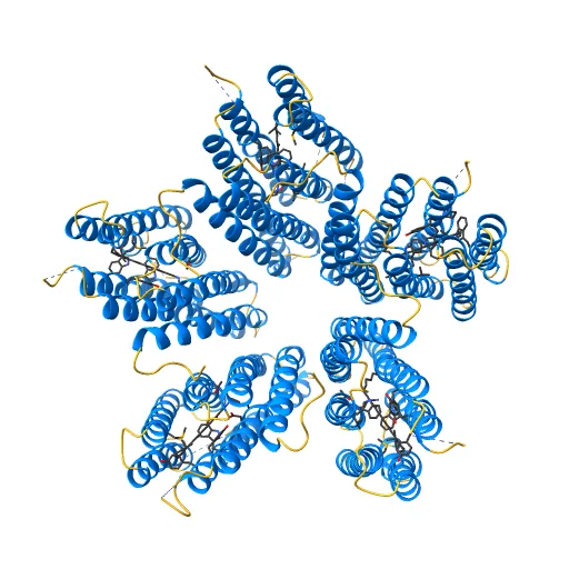 Crystal structure of a blue-light absorbing proteorhodopsin mutant D97N from HOT75, a preview image from NIH 3D