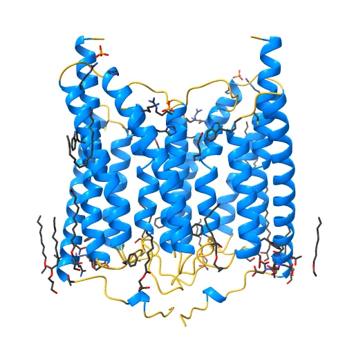 Crystal structure of wild-type Channelrhodopsin 2, a preview image from NIH 3D