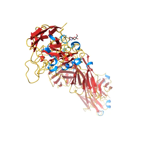 H11-D4, SARS-CoV-2 RBD, CR3022 ternary complex, a preview image from NIH 3D