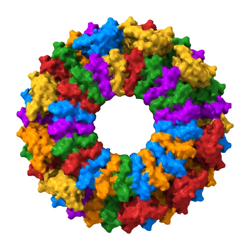33mer structure of the Salmonella flagella MS-ring protein FliF, a preview image from NIH 3D