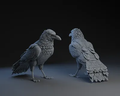 Preening (Puffing) Raven, a preview image from Printables