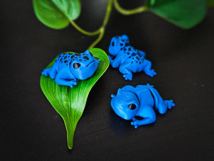 Flexi Frog, a preview image from Printables