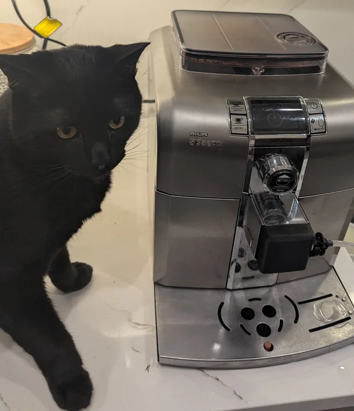 Philips Saeco Syntia Cappuccinatore Cover (HD8838 / HD8839) – No More Flaking Chrome, a preview image from Printables