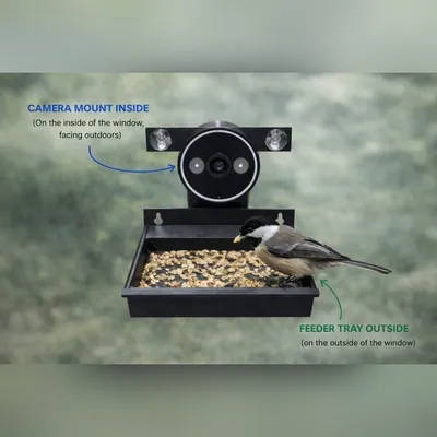 Bird Feeder for TapoC113 camera. Go to www.BirdwatchAI.com for all details on AI species detection DIY., a preview image from Printables