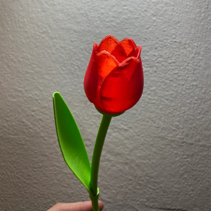 Beautiful Tulip With Stem - Best Valentine’s Day Gift, a preview image from Printables