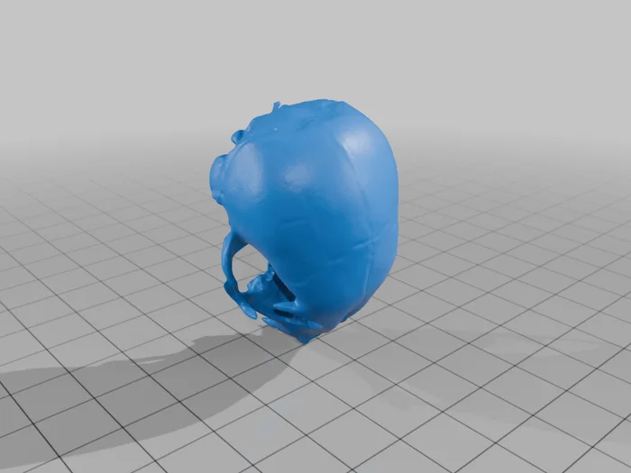Meerkat Skull, a preview image from Thingiverse