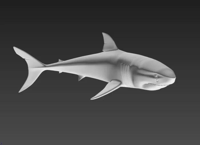 shark, a preview image from Threeding