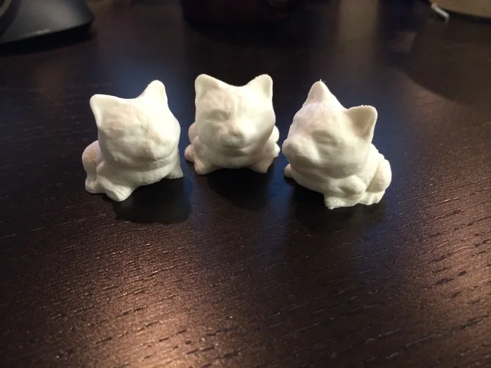 Toad Cat, a preview image from Treatstock